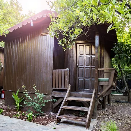 Base Bunglows 홈스테이 *